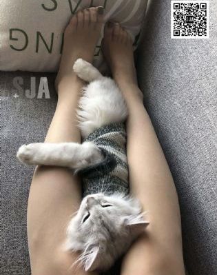 痞子英雄 电视剧