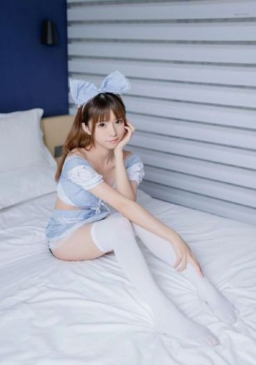 细狗网页端登录入口免费版
