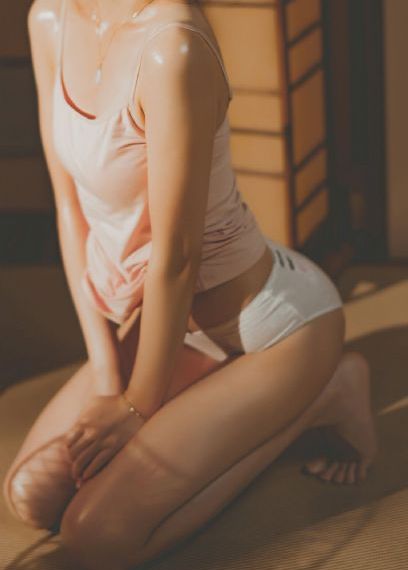 汪汪队立大功十季免费版