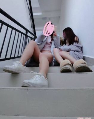 九重紫在线