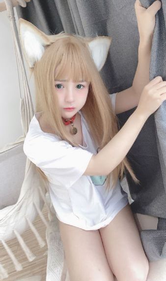 珠帘玉幕在线免费观看