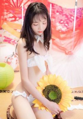 东方侠客电视剧免费观看全集