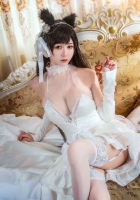 锦绣南歌在线全集免费观看